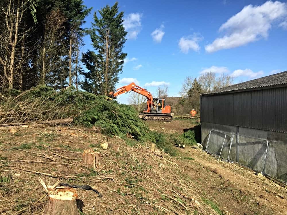 Land Clearance | Land Clearing Service | Surrey | Staines | Egham